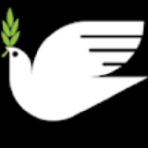 Meet your Posher, Team